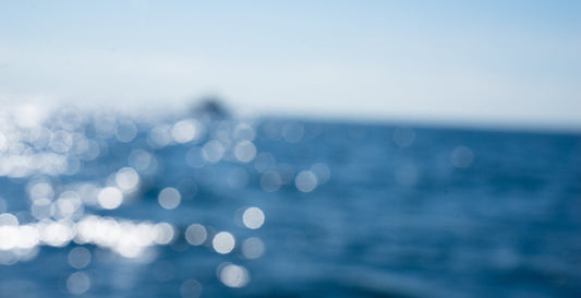 Soft Focus