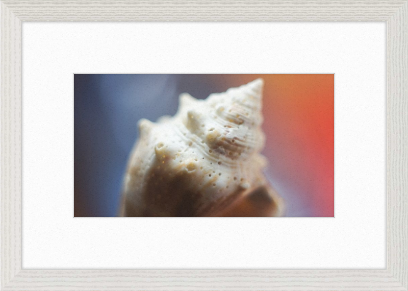 Shell CA2633