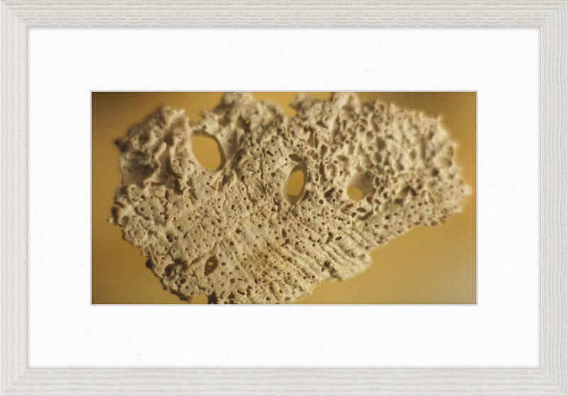 Shell CA2939