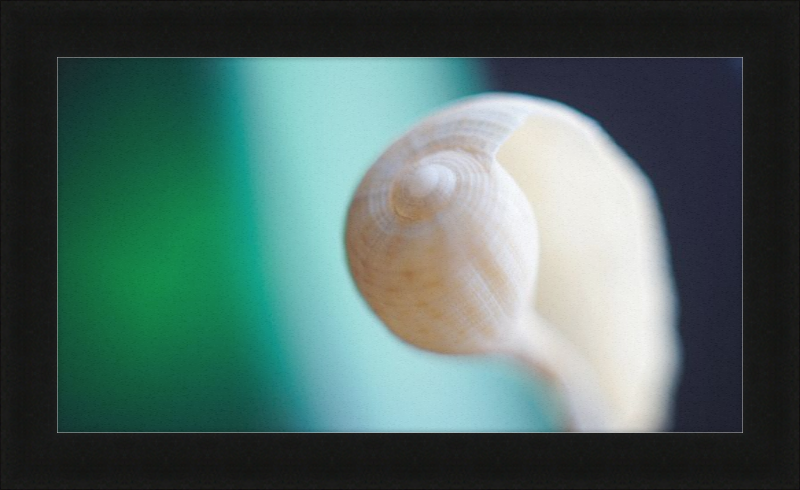 Shell CA2695