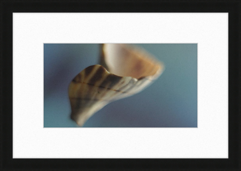Shell CA2717