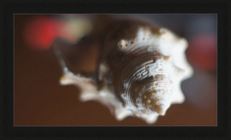 Shell CA2663