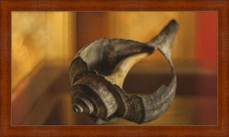Shell CA2967
