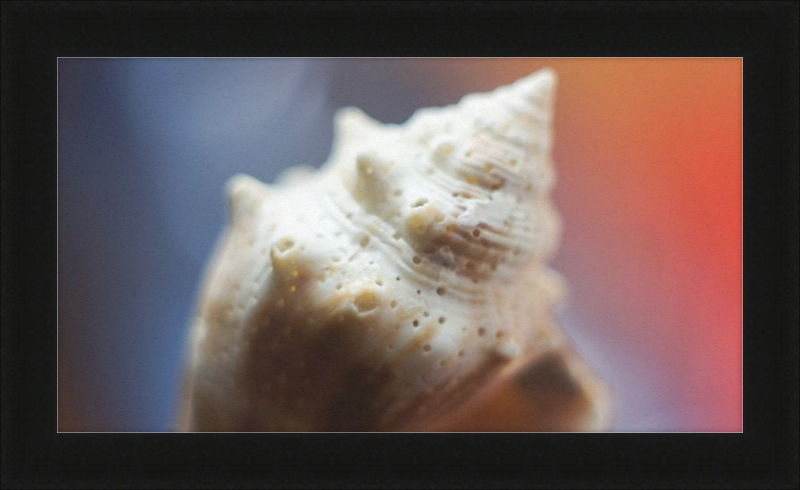 Shell CA2633