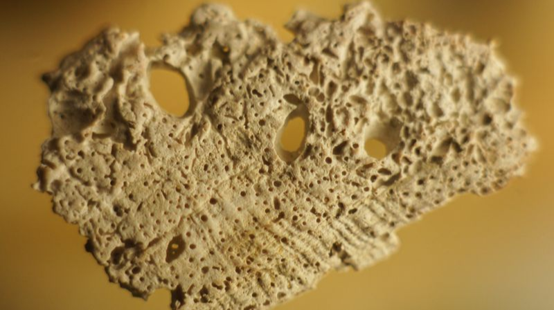 Shell CA2939