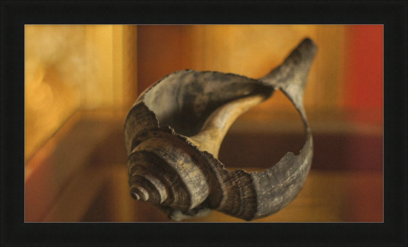 Shell CA2967