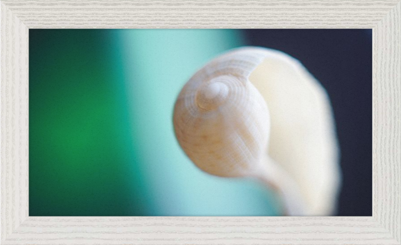 Shell CA2695