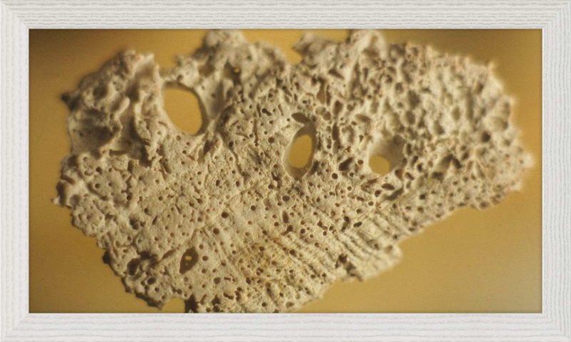 Shell CA2939