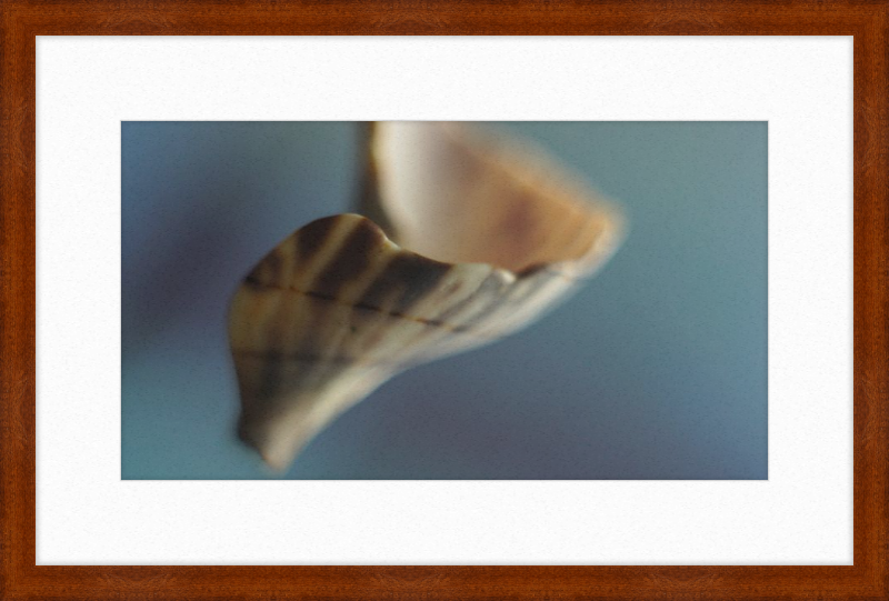 Shell CA2717