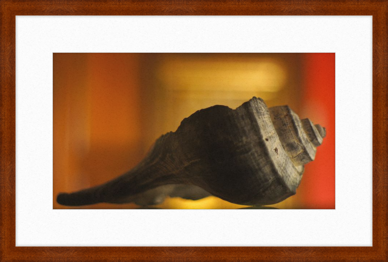 Shell CA2963