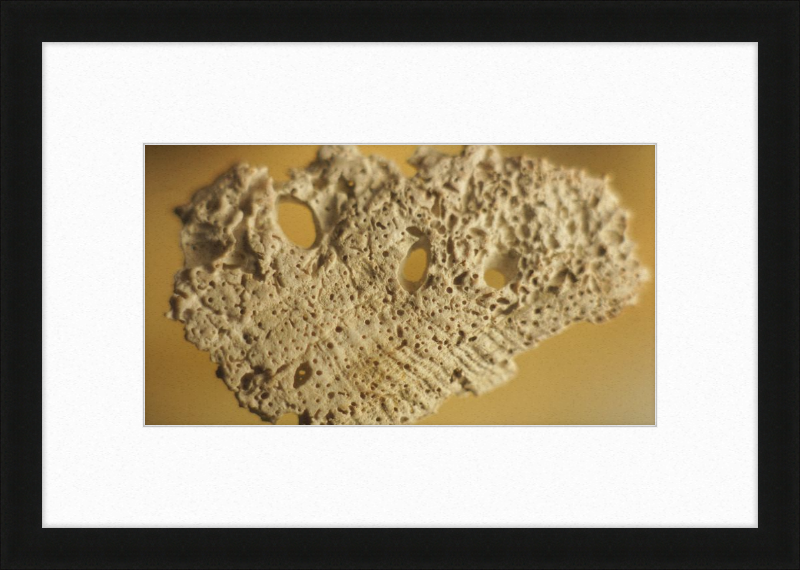 Shell CA2939