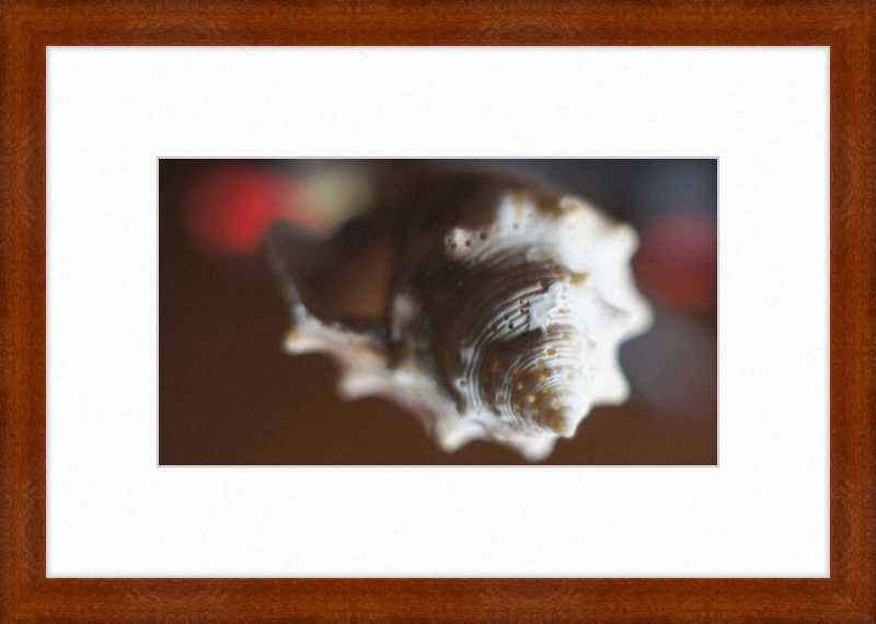 Shell CA2663