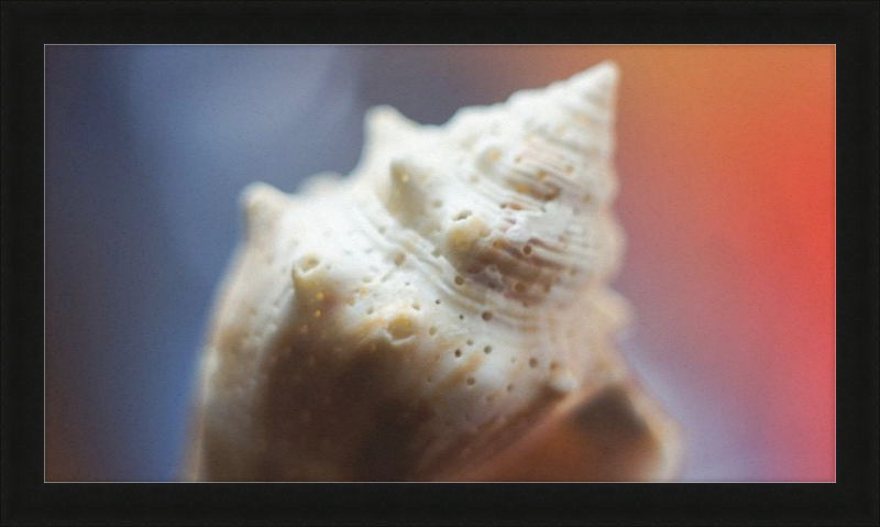 Shell CA2633