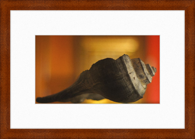 Shell CA2963