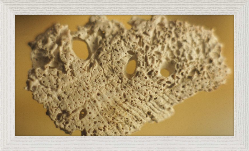 Shell CA2939