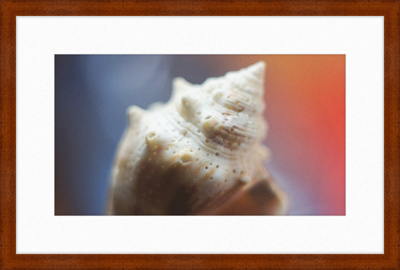 Shell CA2633
