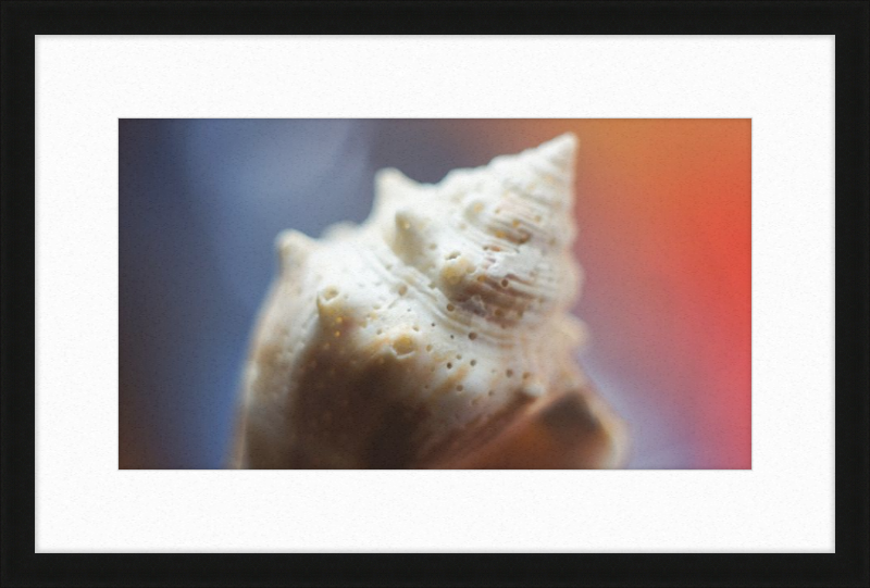 Shell CA2633