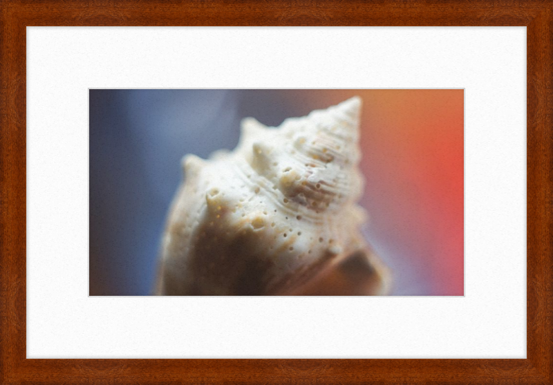 Shell CA2633