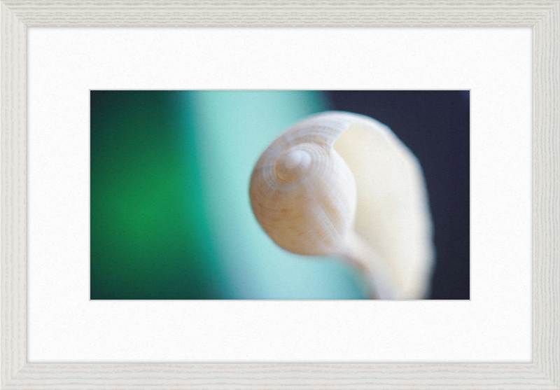 Shell CA2695
