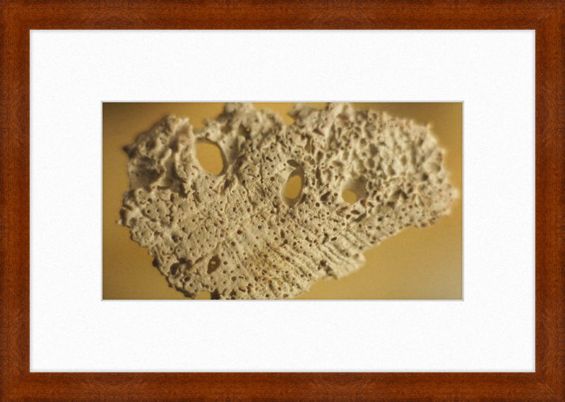 Shell CA2939