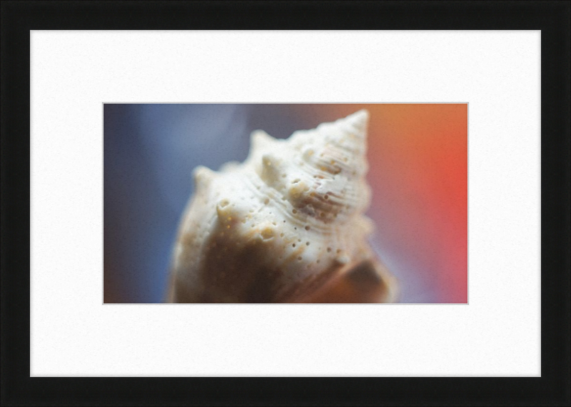 Shell CA2633