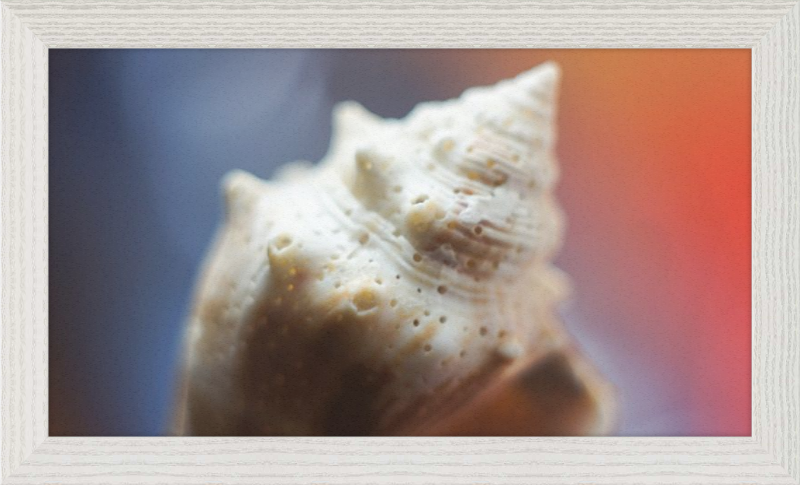 Shell CA2633