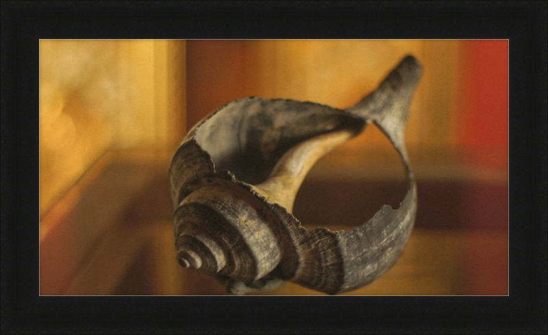Shell CA2967
