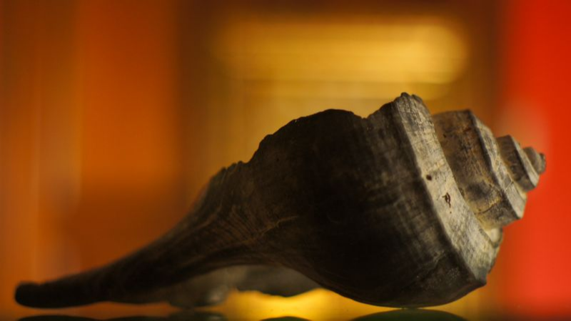 Shell CA2963