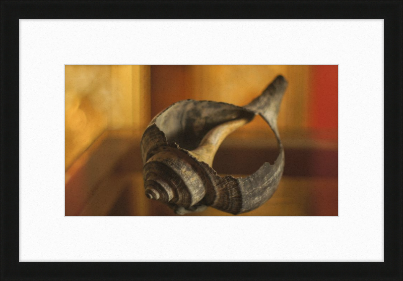 Shell CA2967