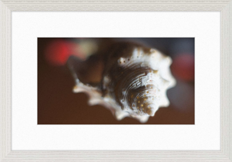 Shell CA2663