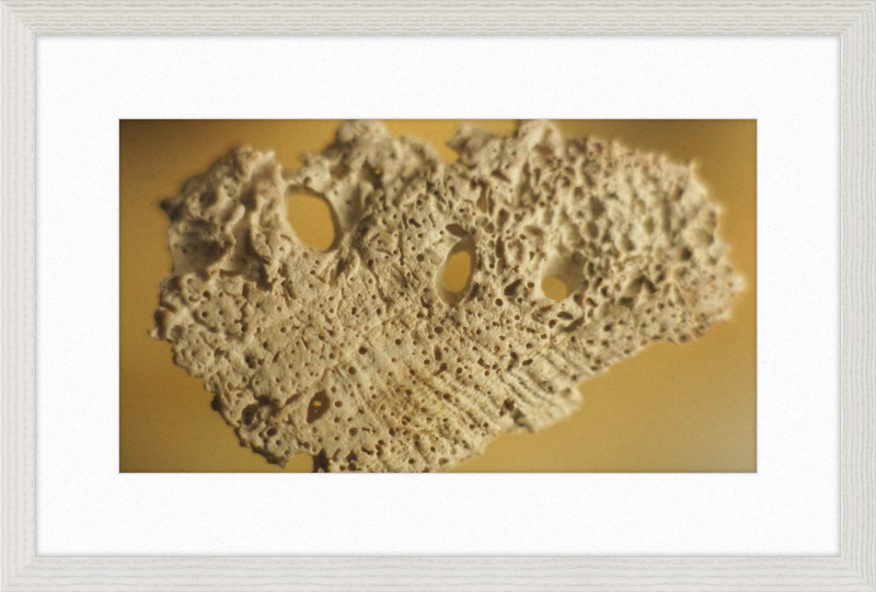 Shell CA2939