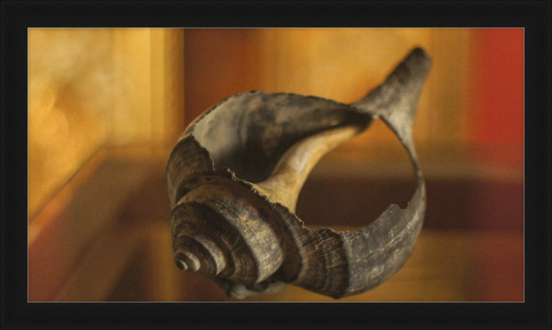 Shell CA2967