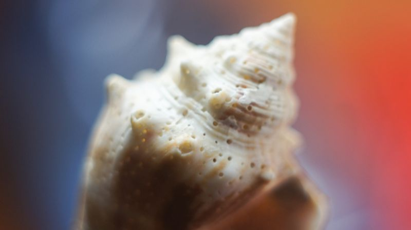 Shell CA2633