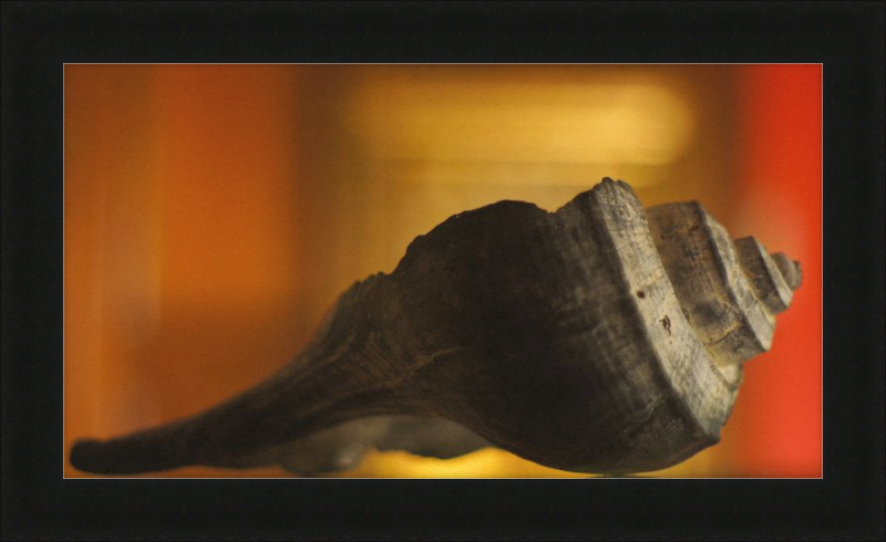 Shell CA2963