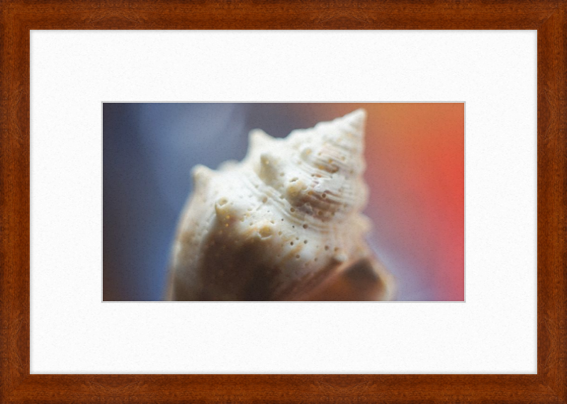 Shell CA2633