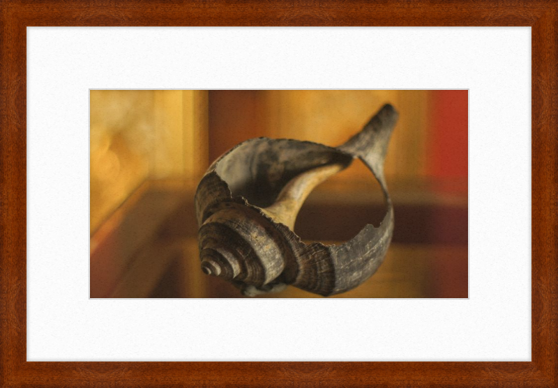 Shell CA2967