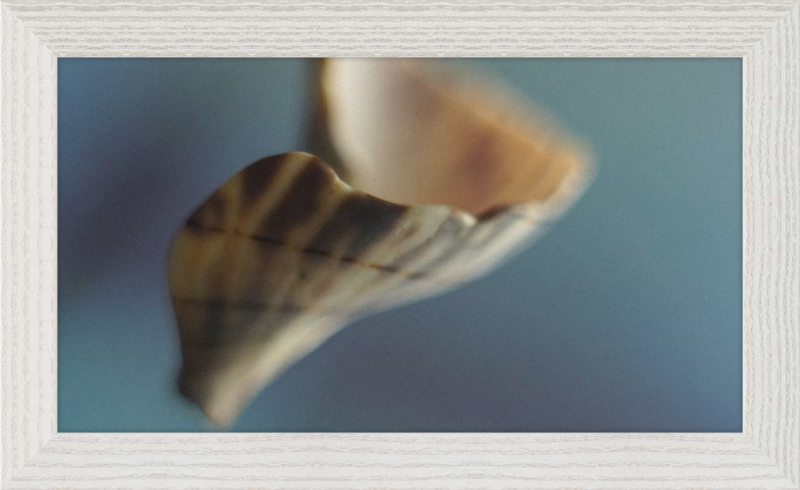Shell CA2717
