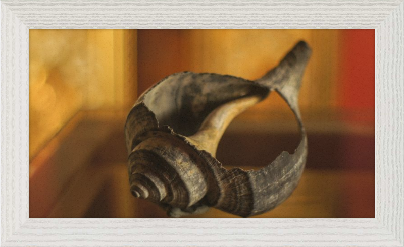 Shell CA2967
