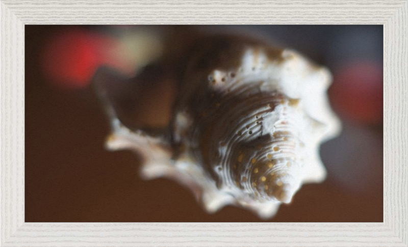 Shell CA2663