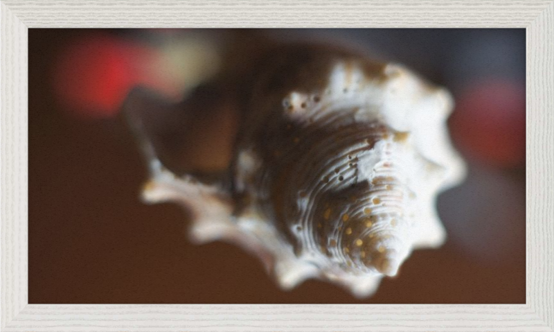 Shell CA2663