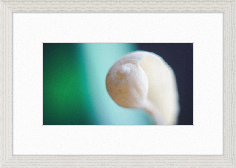 Shell CA2695