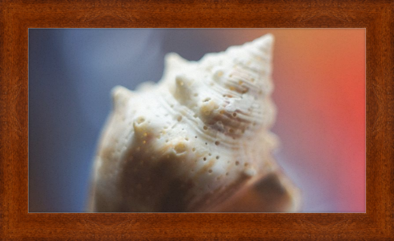 Shell CA2633