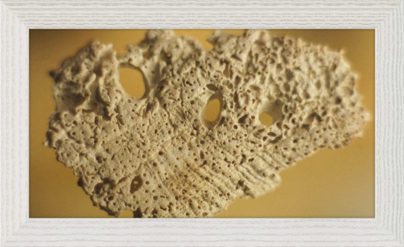 Shell CA2939