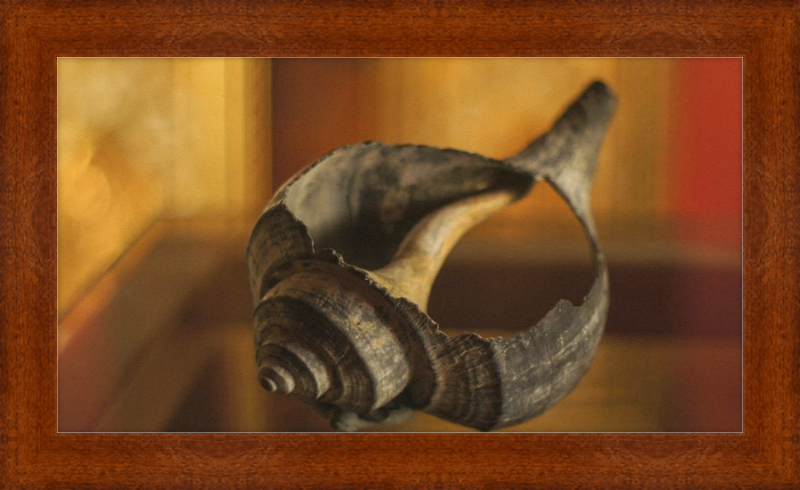Shell CA2967