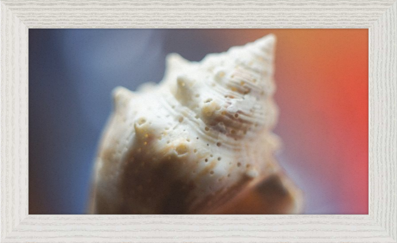 Shell CA2633