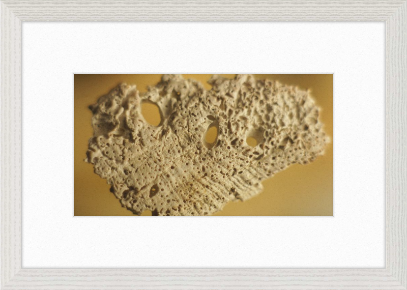 Shell CA2939