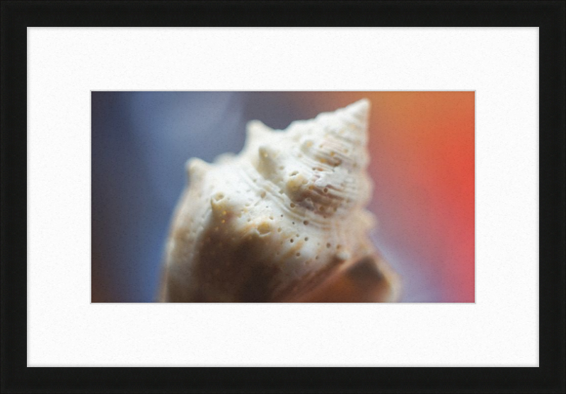 Shell CA2633