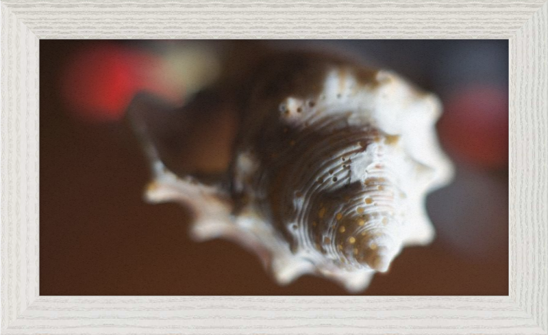 Shell CA2663