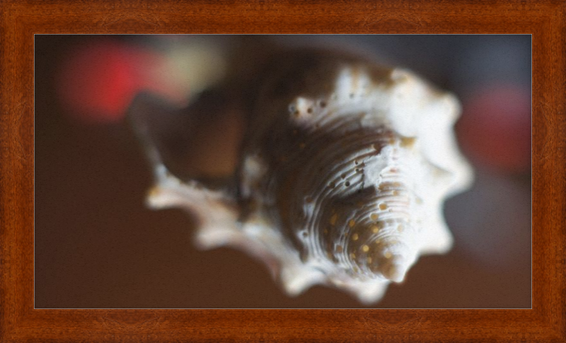 Shell CA2663