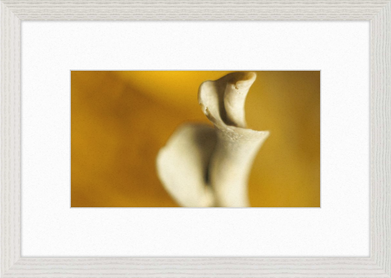 Shell CA2818